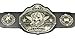 Undisputed Belts Fully Custom Championship Belt - Custom images and Text with Design Proofs