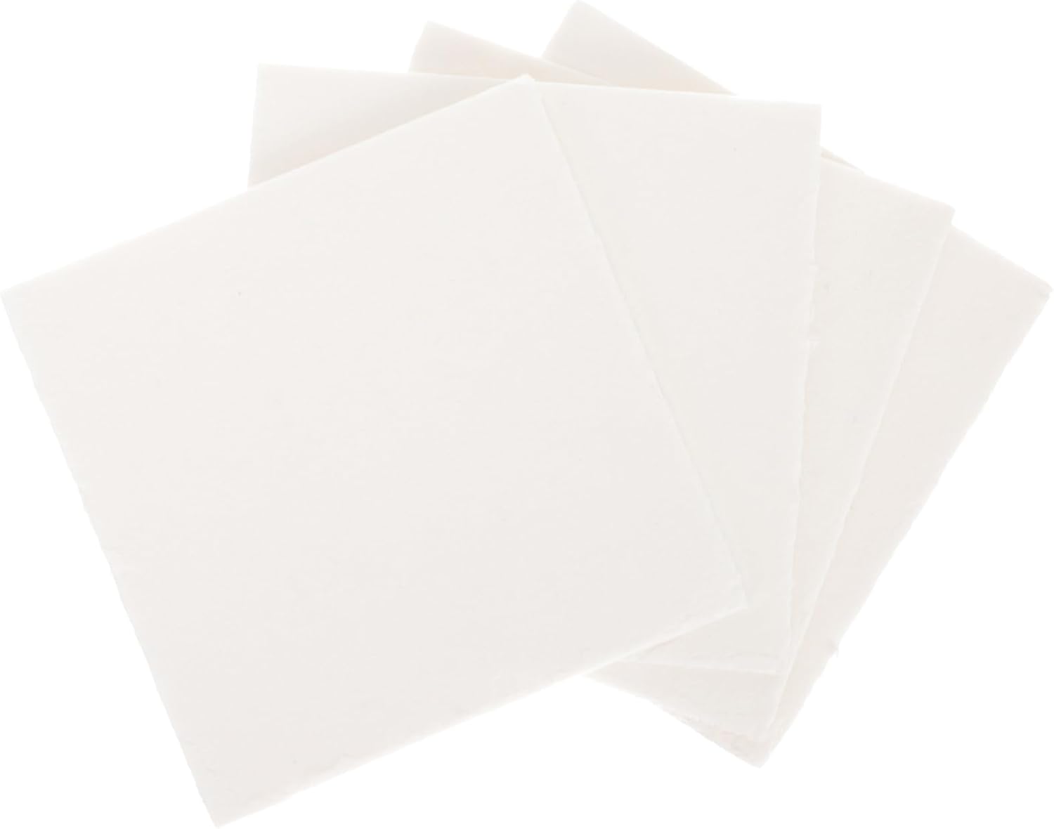 HONMEET 4pcs Plant Pressing Boards Water Absorbing Sponge for Herbarium Specimen Making Dried Flower Crafting and Outdoor Activities