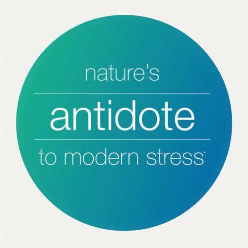 Miniatura 2 de ikj Ashwagandha 1,000 mg., 150 Cápsulas EXP 02/2024