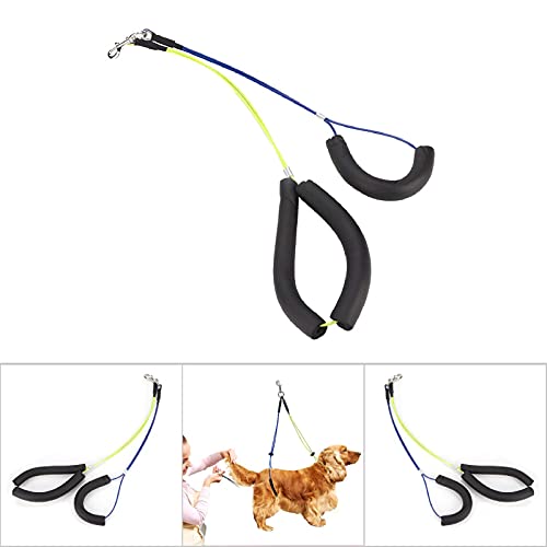Adjustable Stainless Steel Dog Grooming Leash, with Foam Cotton Collar, Dog Grooming Loop, Dog Grooming Belly Strap - Image 4