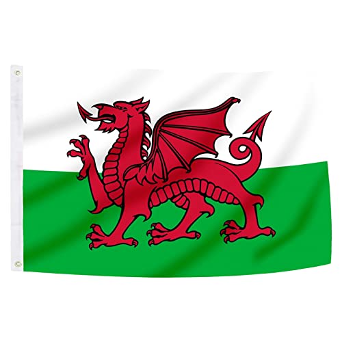 5x3pies-150x90cm Bandera Galesa, Bandera de Gales con 2 Ojales de Metal, Bandera Nacional Galesa de Color Brillante, Bandera Gales Decorada en Eventos Deportivos, Fiestas, Desfiles Cover