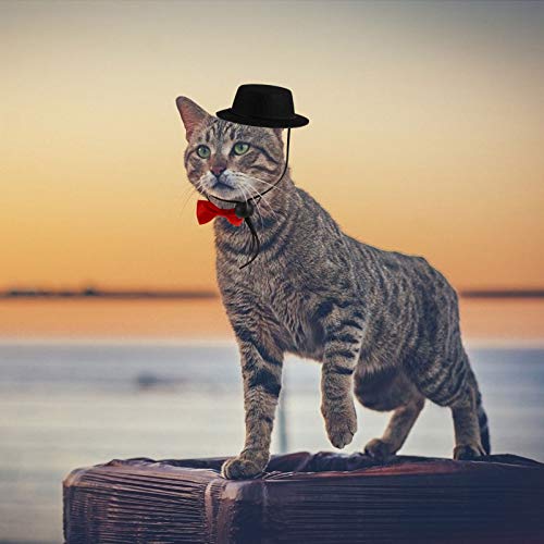 Balacoo 2PCS Bearded Dragon Hat and Bowtie Cute Easter Small Pet Clothes Set Adjustable Small Animals Bowtie Hat for Reptile Lizards (Black Hat+ Red Bowtie) - Image 3