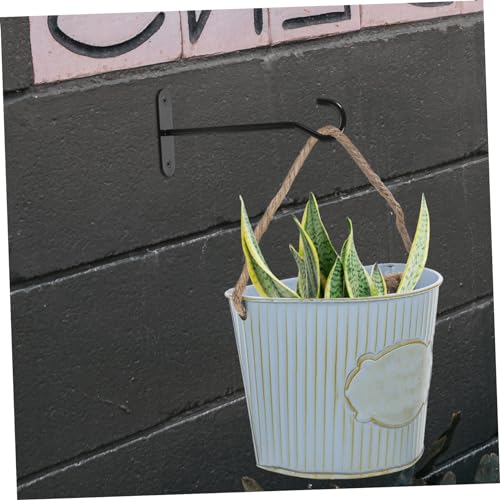 Crochet de plafond pour plantes avec matériel de fixation durable