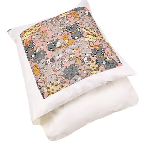 Effonek Lp}bgA~gA~pybgLgAO\Ő􂦂aLpQ (X^C3,S)