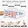 Hand Massager, Rechargeable Hand Massager with Heat and Compression - 2