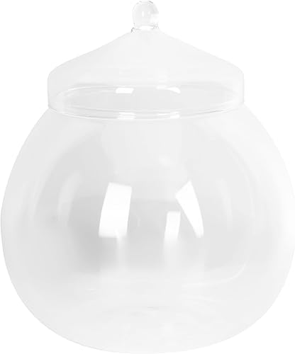 Angoily Terrario de vidrio, tarros grandes transparentes con tapa, florero de terrario para plantas