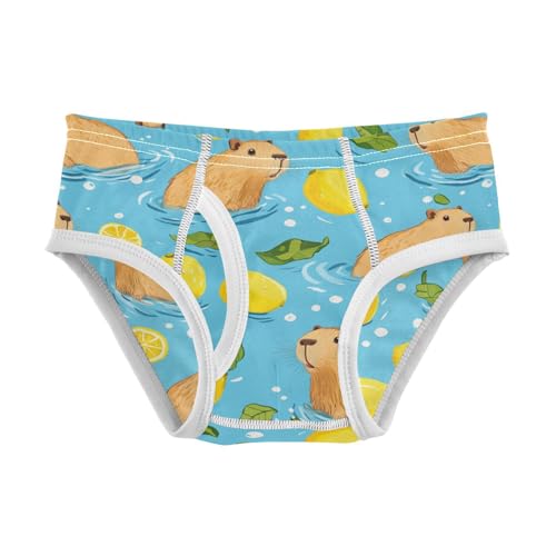 Wusikd Capybaras Swimming Boys' Underwear Cotton Lemon Boys Briefs Soft Toddler Underwear 2T