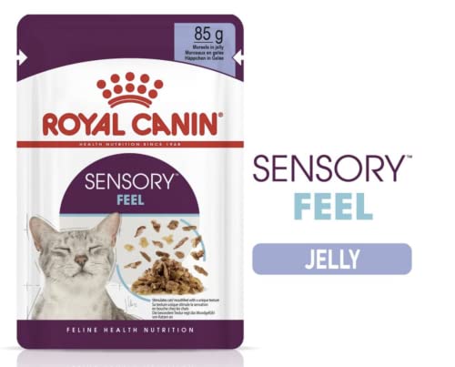 Royal Canin Sensory Feel Jelly | 12 x 85 g | Nassfutter für ausgewachsene Katzen | Stückchen in Gelee | Zur Anregung des Mundgefühls | Instinktiv bevorzugt