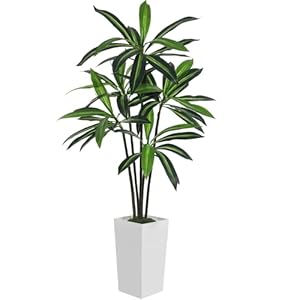 Jexine Artificial Dracaena Tree 5 Ft Fake Floor Plant with White Planter Realistic Artificial Silk Tree Tall Indoor Plant Faux Yucca for Home Living Room Office Decor Housewarming
