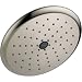 Delta RP52382SS Touch Clean Raincan Single-Setting Showerhead, Stainless