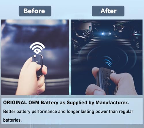Pinochi CR1616 Key Fob Battery