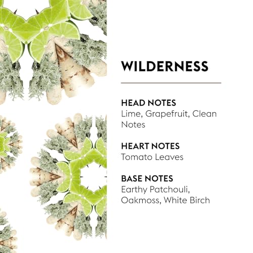 Image of MAISON BERGER Car Diffuser Refill Set, Wilderness | Lime Grapefruit Patchouli Notes, 2 Ceramic Inserts, Fits MAISON BERGER Vent Clips, 4-Week Diffusion, Made in France
