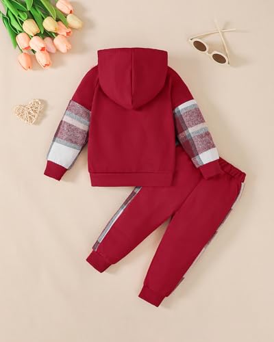 Toddler Baby Girl Clothes Cartoon Long Sleeve Hoodie Sweatshirt Plaid Pants Set Fall Winter Baby Girls Outfits4