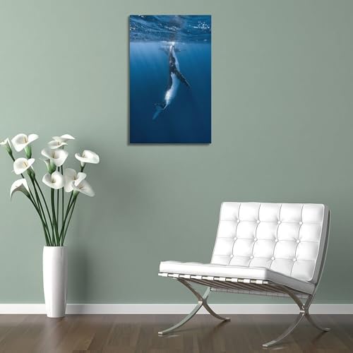 Toile rorqual à nageoire 60x90 cm grand format, impression haute définition