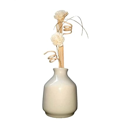 Zamfony Diffuser Reed Set, for Home Fragrance & Decorative Diffuser, Dried Flower Reed Sticks with Ceramic Diffuser Bottle(Ivory)(Note: Oil NOT Included)