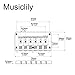 Musiclily 52.5mm Fixed Hardtail Bridge for 6 String Fender Strat Tele Electric Guitar, Chrome