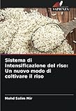 Edizioni Sapienza