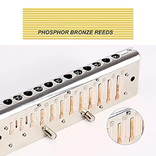 Harmonica, Orgue À Bouche À 12 Trous C avec Étui, Chromatique pour Les Cadeaux D’étudiants Débutants De Joueur… - Les Beatles, Paul McCartney, John Lennon, RIngo Starr, George Harrison Harmonica, Orgue À Bouche À 12 Trous C avec Étui, Chromatique pour Les Cadeaux D'étudiants Débutants De Joueur… – Image 3