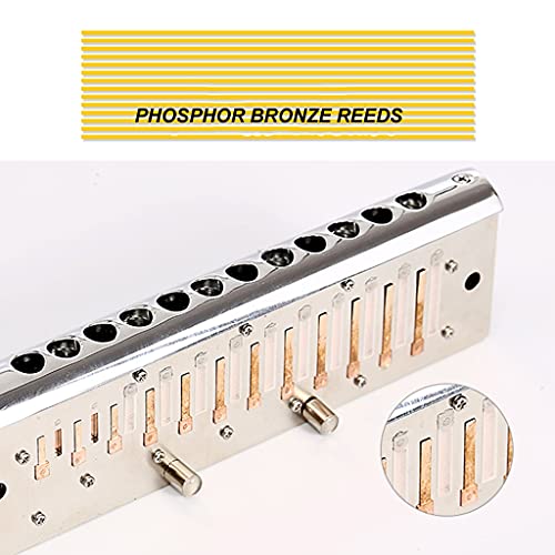 Harmonica, Orgue À Bouche À 12 Trous C avec Étui, Chromatique pour Les Cadeaux D’étudiants Débutants De Joueur… - Les Beatles, Paul McCartney, John Lennon, RIngo Starr, George Harrison Harmonica, Orgue À Bouche À 12 Trous C avec Étui, Chromatique pour Les Cadeaux D'étudiants Débutants De Joueur… – Image 4