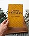Living Fearless: Exchanging the Lies of the World for the Liberating Truth of God