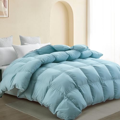 SNOWMAN Premium Down Comforter Queen Size, Luxurious All Season Duvet Insert with Cotton Blended Fabric, 37oz Fill Weight 3D Baffle Box Design Hotel Bedding Comforter (Blue,90