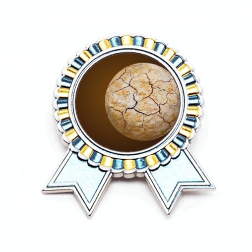 Broche étoile en métal taille M Dry Planet pour fixer vos écharpes avec style