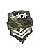 Patch Galon 2 Chevrons armée Militaire, écusson thermocollant armée Grade de caporal pour customisation de vêtements, 7,5 cm x 6 cm