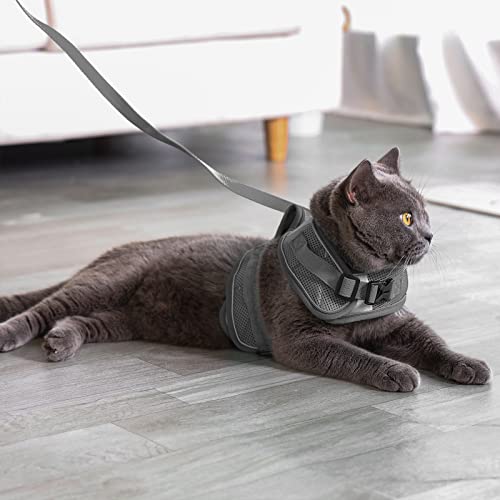 Arnes Gato Anti-Escape, Ajustable Arnés para Gato, Tiras Reflectantes de Borde Completo Que Brindan Protección para Gatos Que Caminan de Noche(XS, Gris)