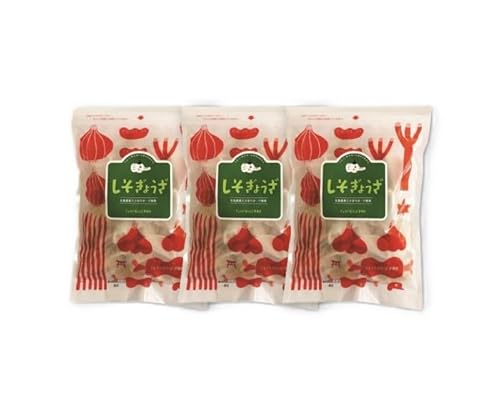 [3か月定期便]paoの無添加餃子「しそぎょうざ」520g(約40個) 全3回お届け 058018