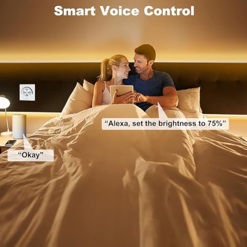 Contrôleur LED WiFi Tuya intelligent basse tension DC 12V 24V - 6
