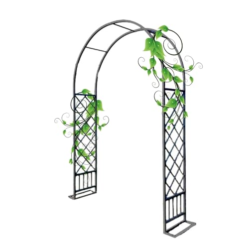 Arche de jardin en métal noir avec treillis de support pour vos plantes grimpantes