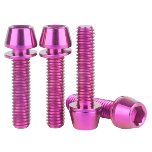 Image of 4Pcs Titanium Bolt M6x25mm Allen Hex with Washers Screw (Purple) | Grade 5 Titanium Bolt,Corrosion Resistant,High Strength to Weight,Non Magnetic,Lightweight Construction