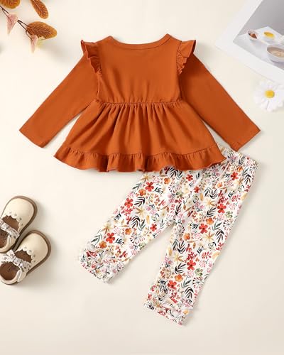 Image of Baby Girl Clothes Infant Toddler Clothes Fall Winter Outfit Clothing Set | Baby Girl Tops Pants Set, Long Sleeve Infant Clothes, Baby Girl Stuff, Toddler Stuff, Girls Clothing Set, Gift