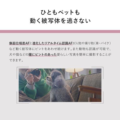 Image of Panasonic LUMIX S9 Full Frame Camera with 20-60mm F3.5-5.6 L Mount Lens, DC-S9KS (Silver) (International Model)