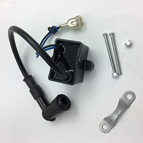 D DOLITY Black Capacitor Discharge Ignition - CDI - Coil/Performance CDI Electron Ignition Coil for 50cc/80cc Gas Motorized Bicycle