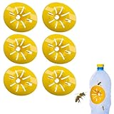 Piege Frelon Asiatique, Micro Guepe, Piège à Frelon Asiatique, Piège De Guêpe Catcher D'abeilles Piège à Insectes en Plastique Piège À Guêpe Catcher Piège à guêpe Abeille Pièges, 6 pièce