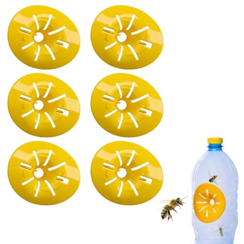 QiSino 6 pièce Piege Frelon Asiatique, Micro Guepe, Piège De Guêpe Catcher D'abeilles Piège à Insectes en Plastique Piège À Guêpe Catcher Piège à guêpe Abeille Pièges (6PCS)