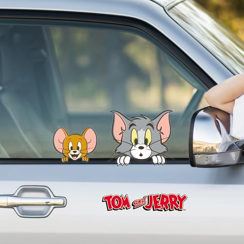 The 29 Best Cartoon Car Decals of 2026 [Verified] - Cherry Picks