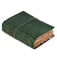 洋書 NATURA NOSTRA 限380 ブラジリエ画 革装幀 三方金 洋書 NATURA NOSTRA 限380 ブラジリエ画 革装幀 三方金 - メルカリ