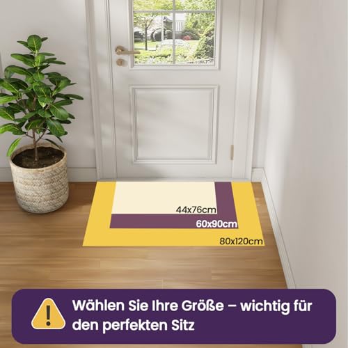 DEXI Schmutzfangmatte Innen 44 x 76 cm, rutschfest Fußmatte waschbar, absorbierend Fussmatte, Dünne Türmatte Eingangsteppich für Haustür & Flur, Grau