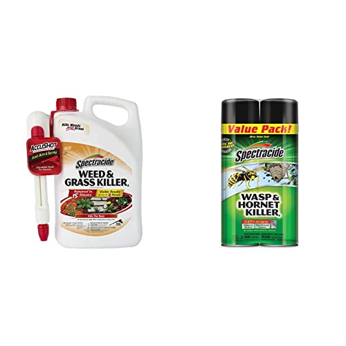Spectracide Weed and Grass Killer, Pack of 1 and Wasp & Hornet Killer, Kills Wasps & Hornets, 2 Count, 20 Ounce (Aerosol Spray)