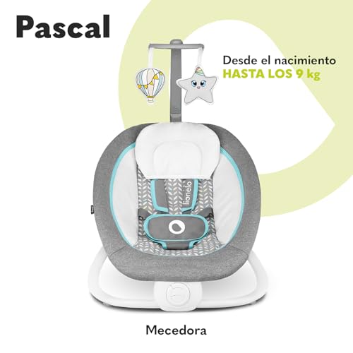 Miniatura 2 de 