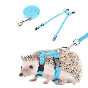 Adjustable Hedgehog Harness for Training Playing Traction Rope Small Animal Pet Outdoor Play (Blue, Small)