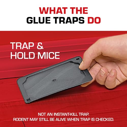 Tomcat 32610 Glue Traps Mouse Size thumb #5