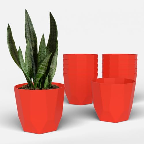 Image of YUCCABE ITALIA SHERA Hexa Plastic Planter Pot for Plants | Decorative Flower Pot | UV Protected Lightweight Indoor Outdoor Gamla for Home Decor, Balcony, Garden & Living Room