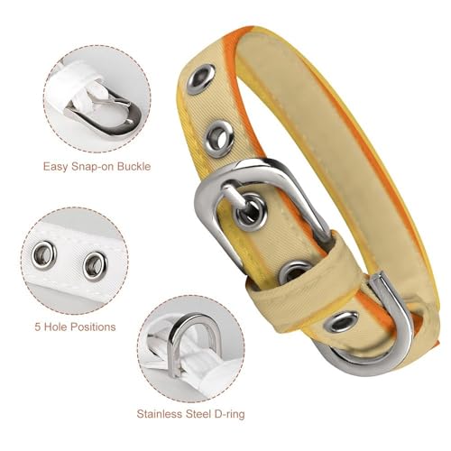 Collier réglable pour chien et chat à rayures multicolores