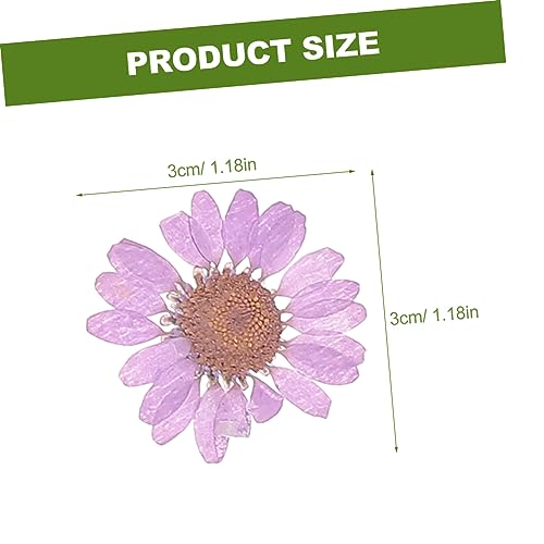 LALAFINA 1 Conjunto De Scrapbooking Livro Scrapbooks DIY Artesanato Pétalas Naturais Flores Secas De