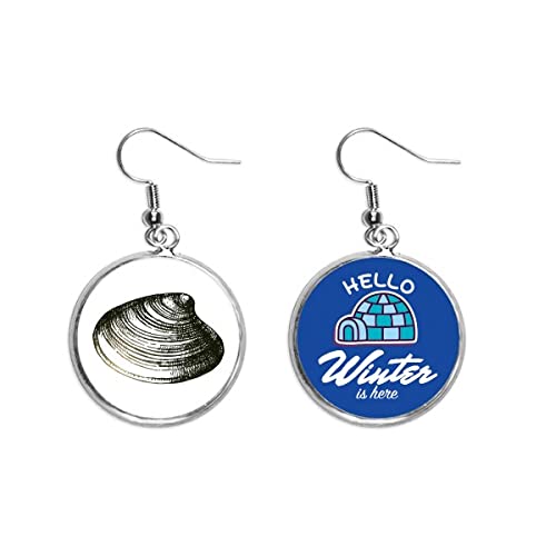 Pendientes de gota negros joyeria de cuelgue vieira marina y cristal de invierno