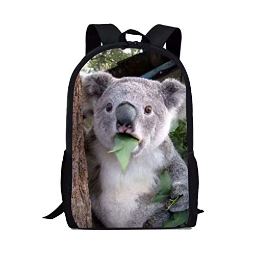 Beauty Collector Koala Backpacks for Girls Back to School Cute Bookbags Lightweight