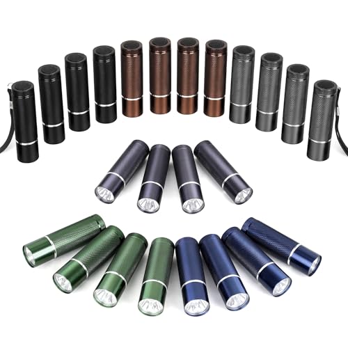 FASTPRO 24-Pack Flashlights Set, Aluminum LED Flashlights Include AAA Batteries & Lanyard, Super Bright 100 Lumen Flashlight for Party Favors, Camping, Hurricane Supplies